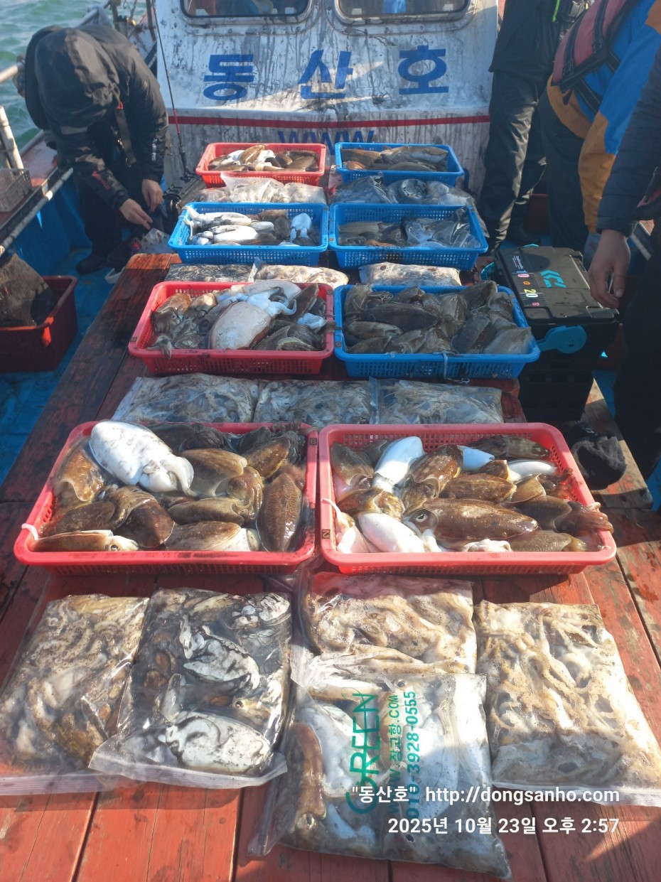 709ea2f9e85c082ed71db87f9917ea68_1761239