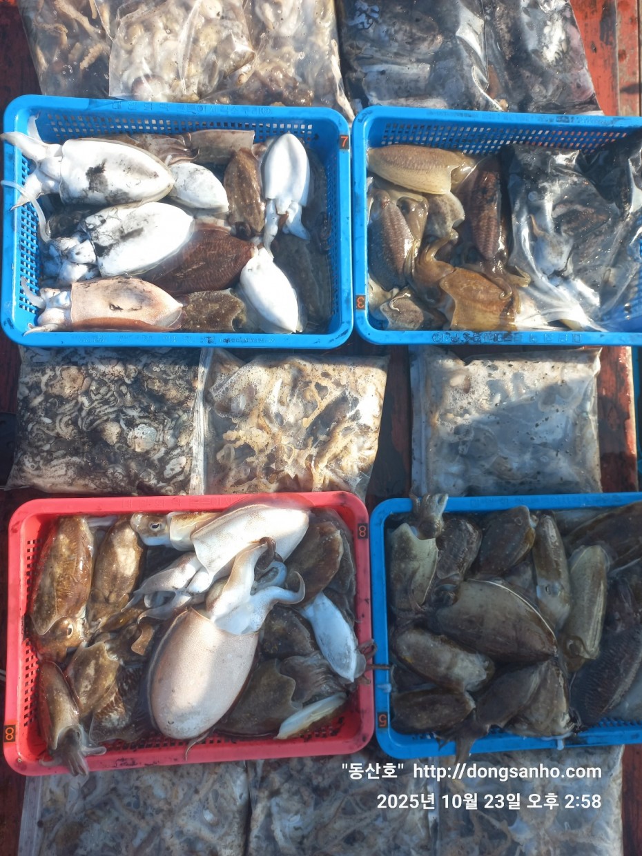 709ea2f9e85c082ed71db87f9917ea68_1761239