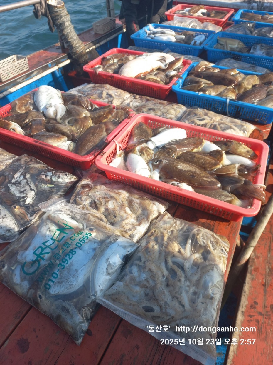 709ea2f9e85c082ed71db87f9917ea68_1761239