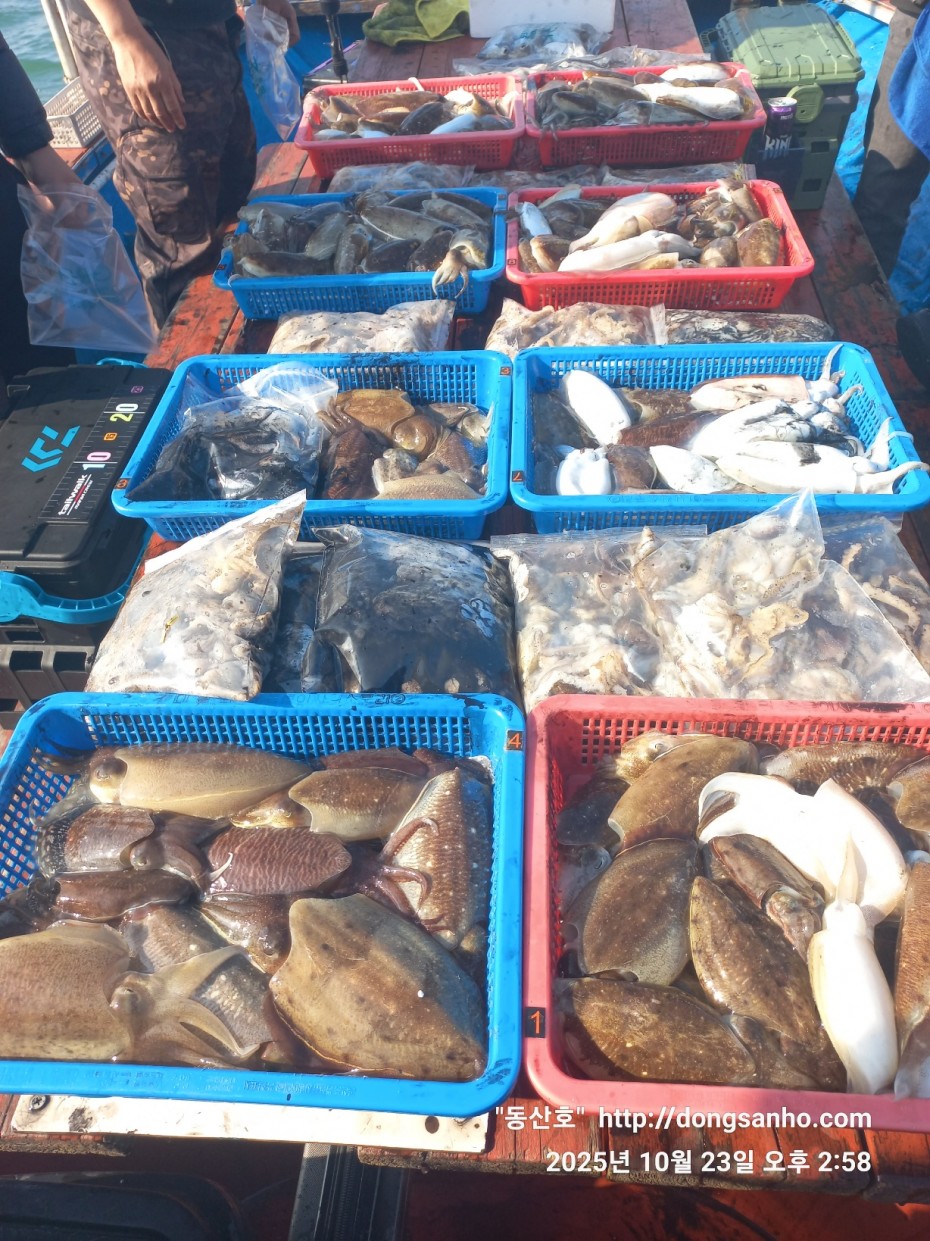 709ea2f9e85c082ed71db87f9917ea68_1761239