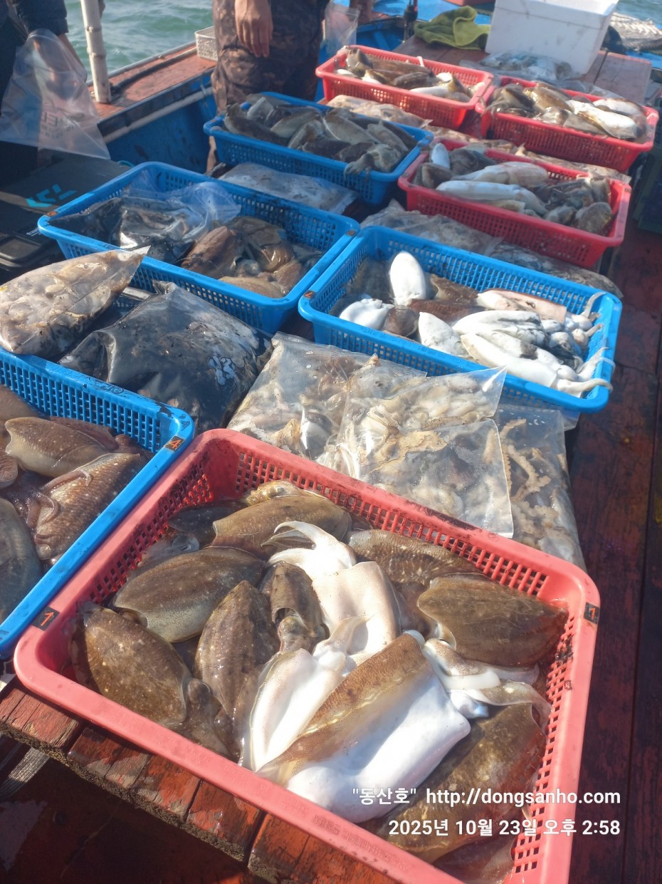 709ea2f9e85c082ed71db87f9917ea68_1761239