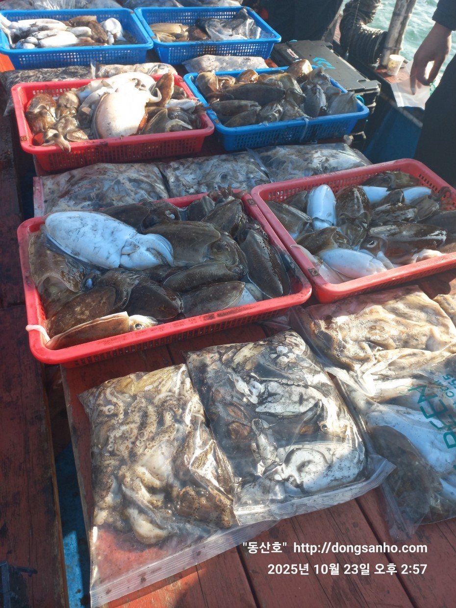 709ea2f9e85c082ed71db87f9917ea68_1761240