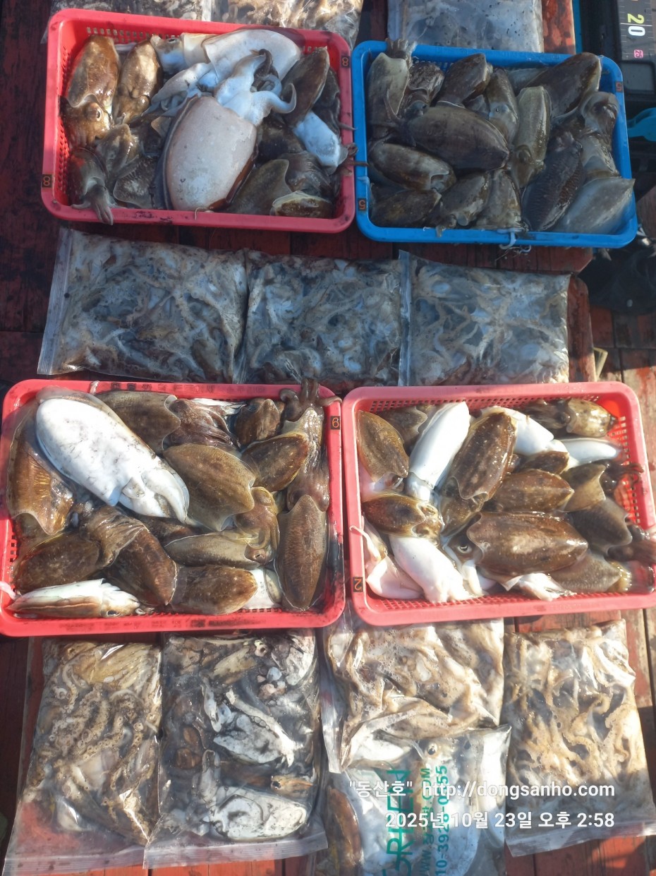 709ea2f9e85c082ed71db87f9917ea68_1761240