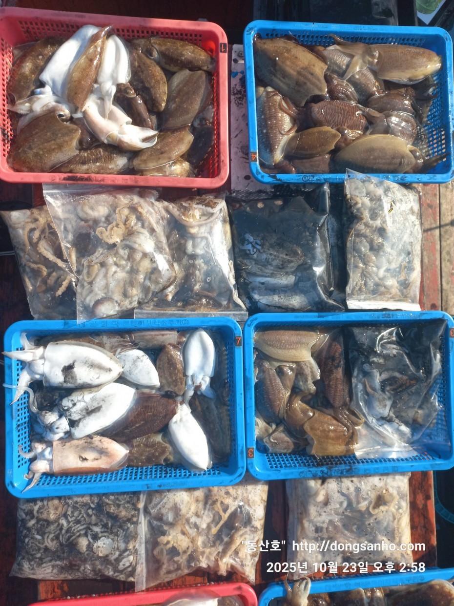 709ea2f9e85c082ed71db87f9917ea68_1761240