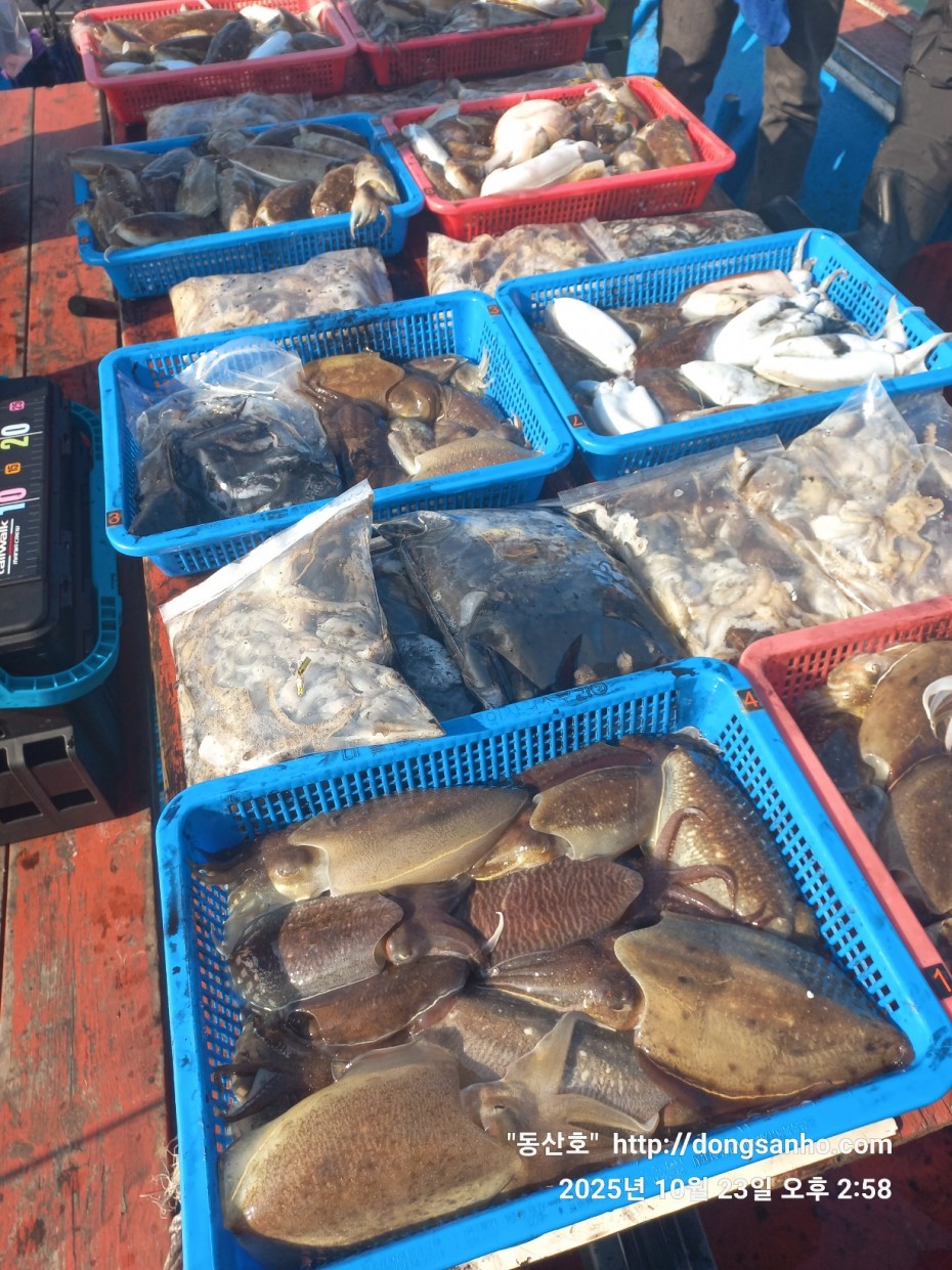 709ea2f9e85c082ed71db87f9917ea68_1761240