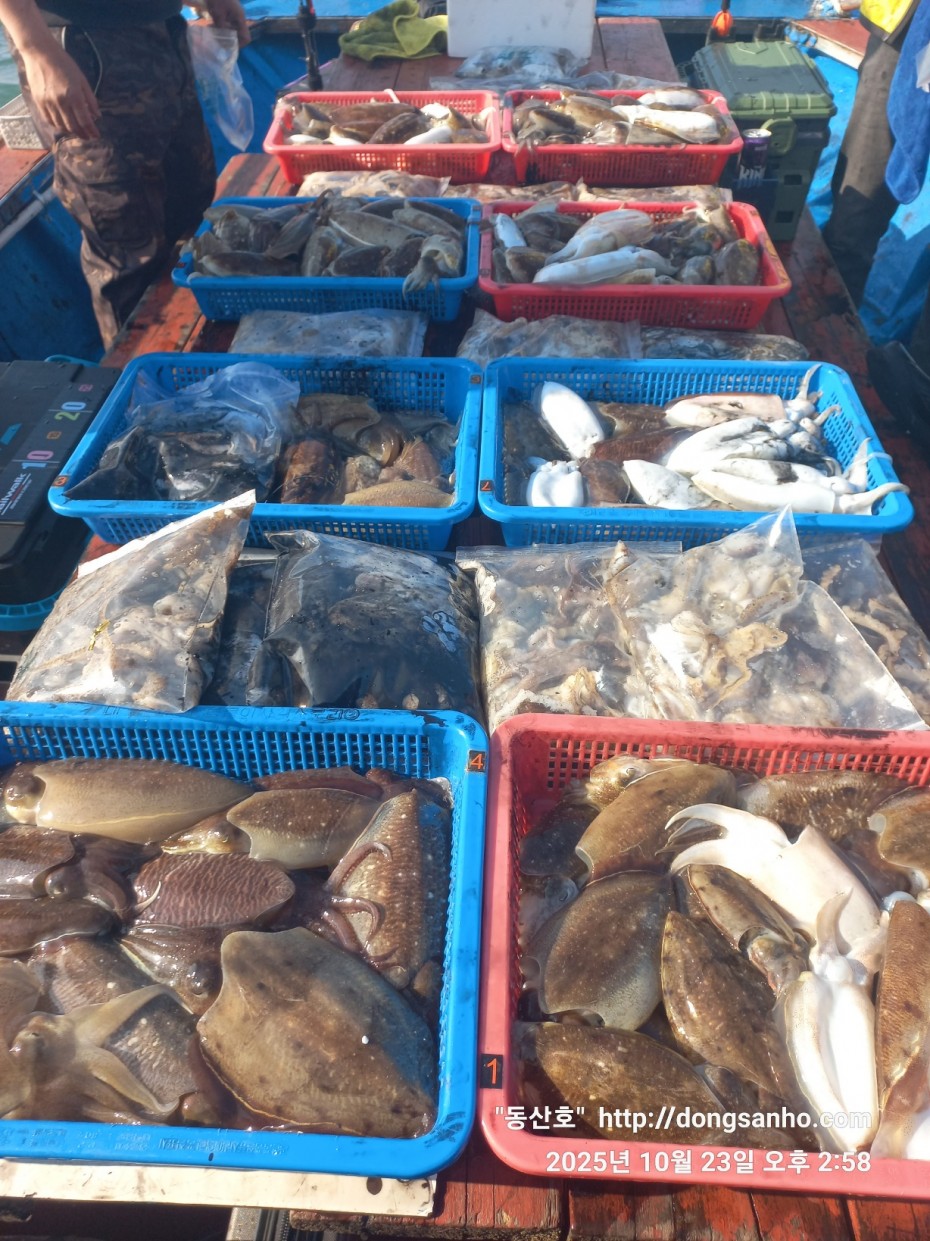 709ea2f9e85c082ed71db87f9917ea68_1761240