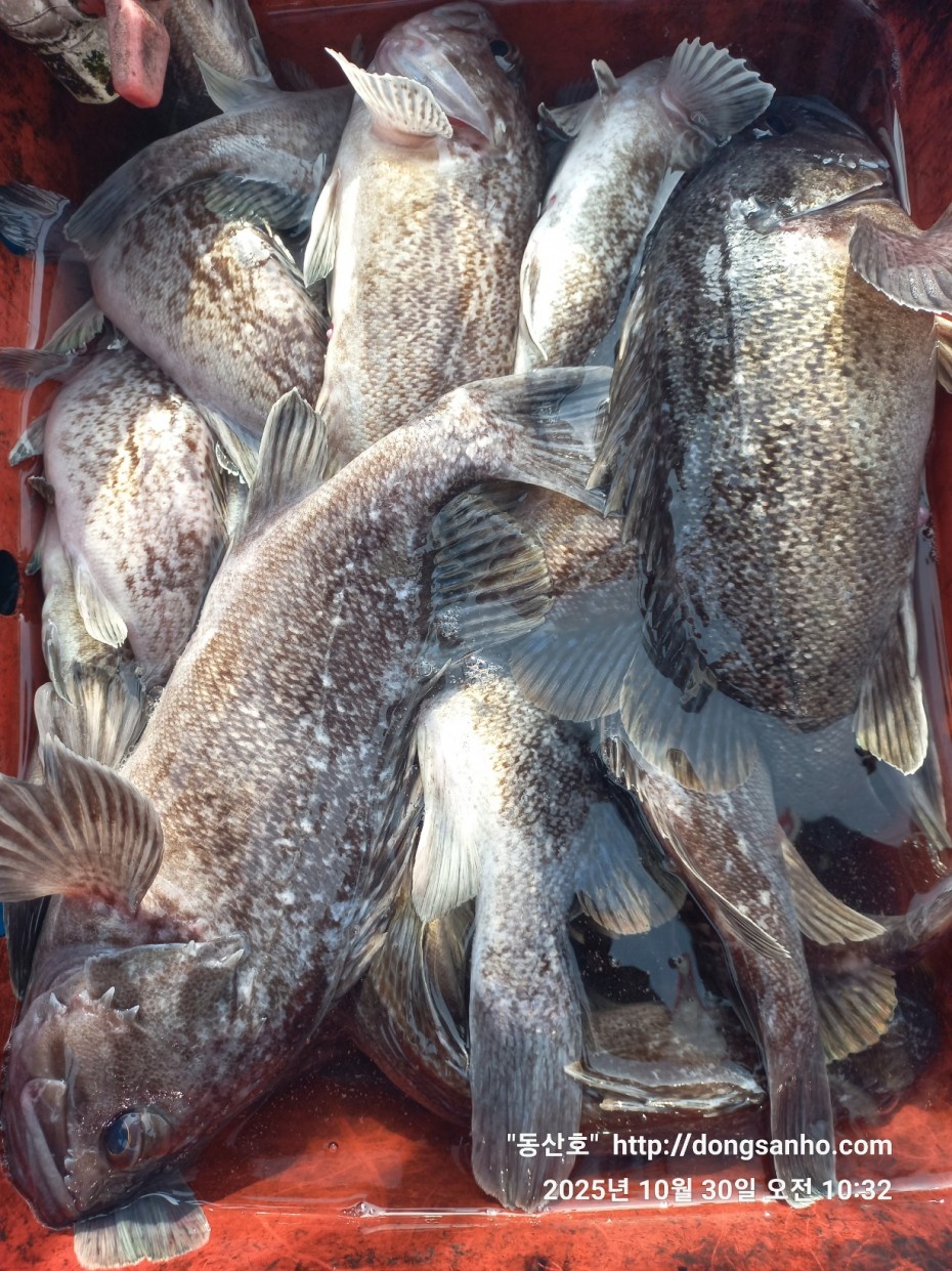 857128367e0136763c15d97be9d2e54e_1761840