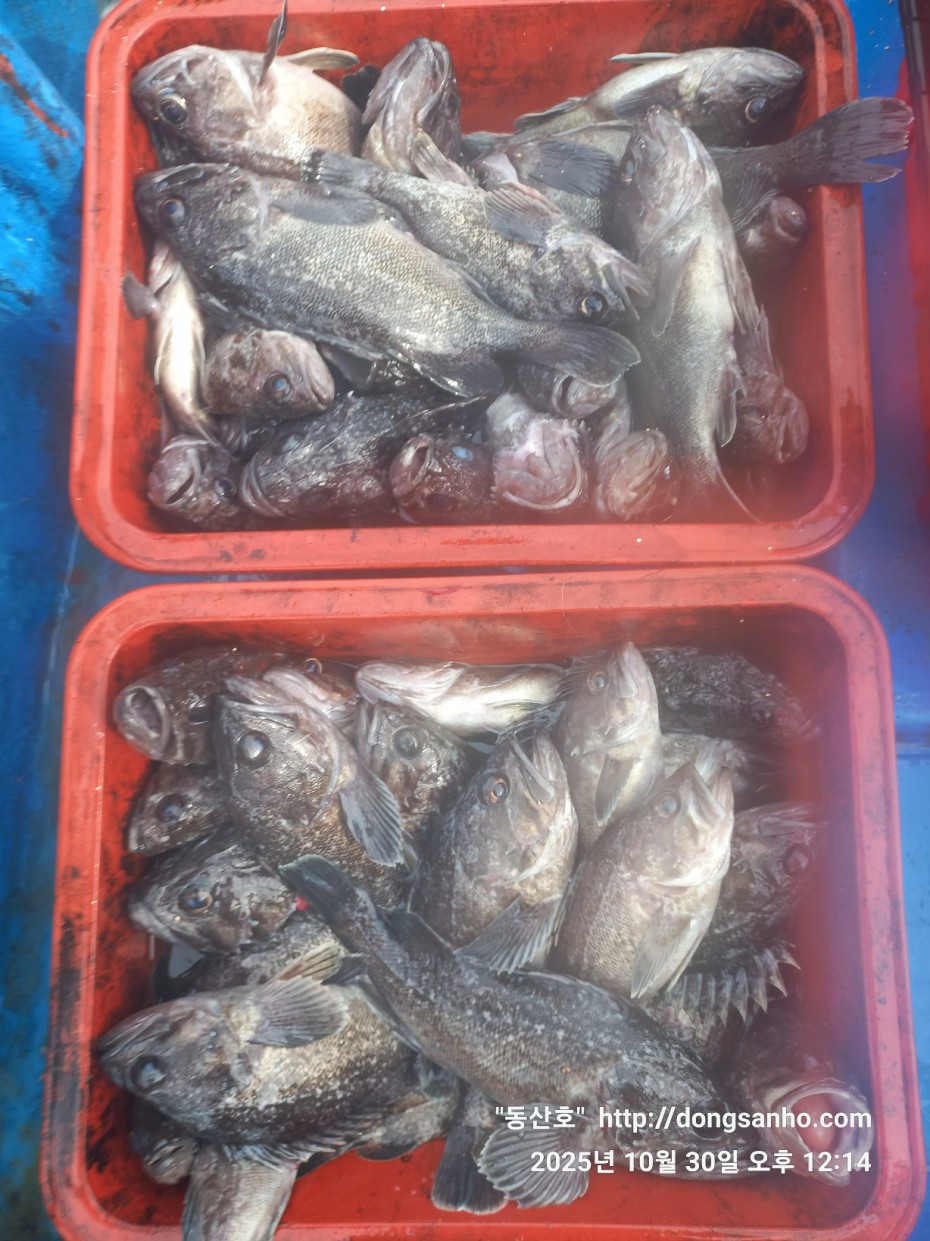 857128367e0136763c15d97be9d2e54e_1761840