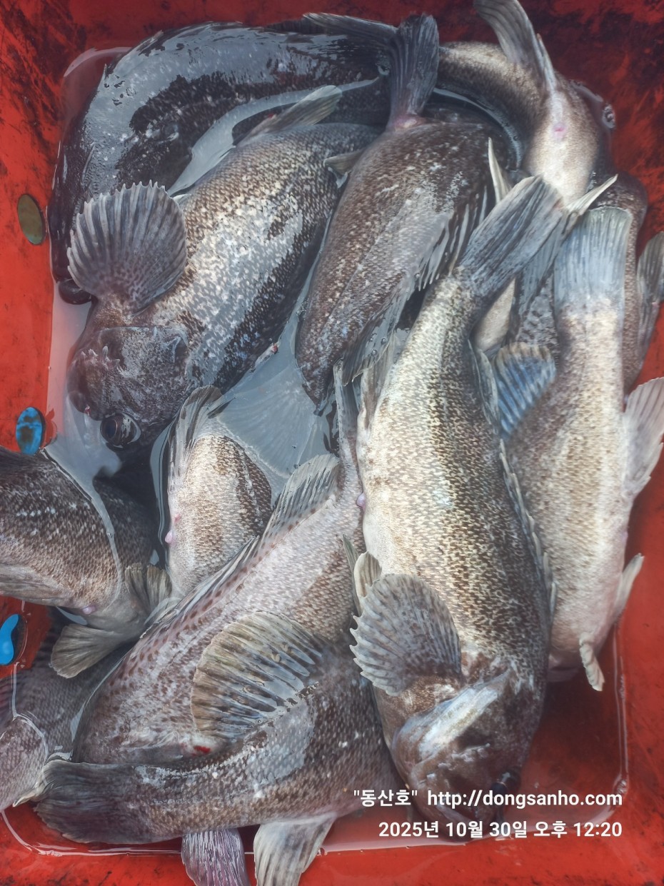 857128367e0136763c15d97be9d2e54e_1761840