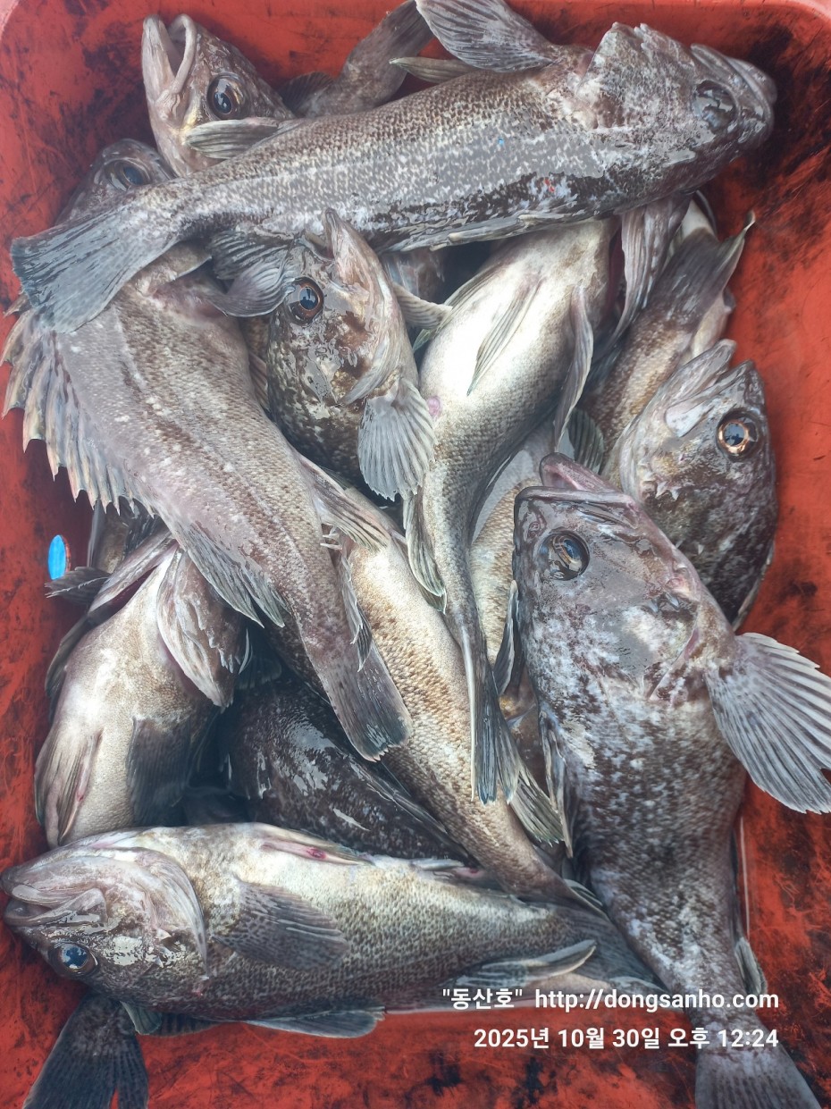 857128367e0136763c15d97be9d2e54e_1761840