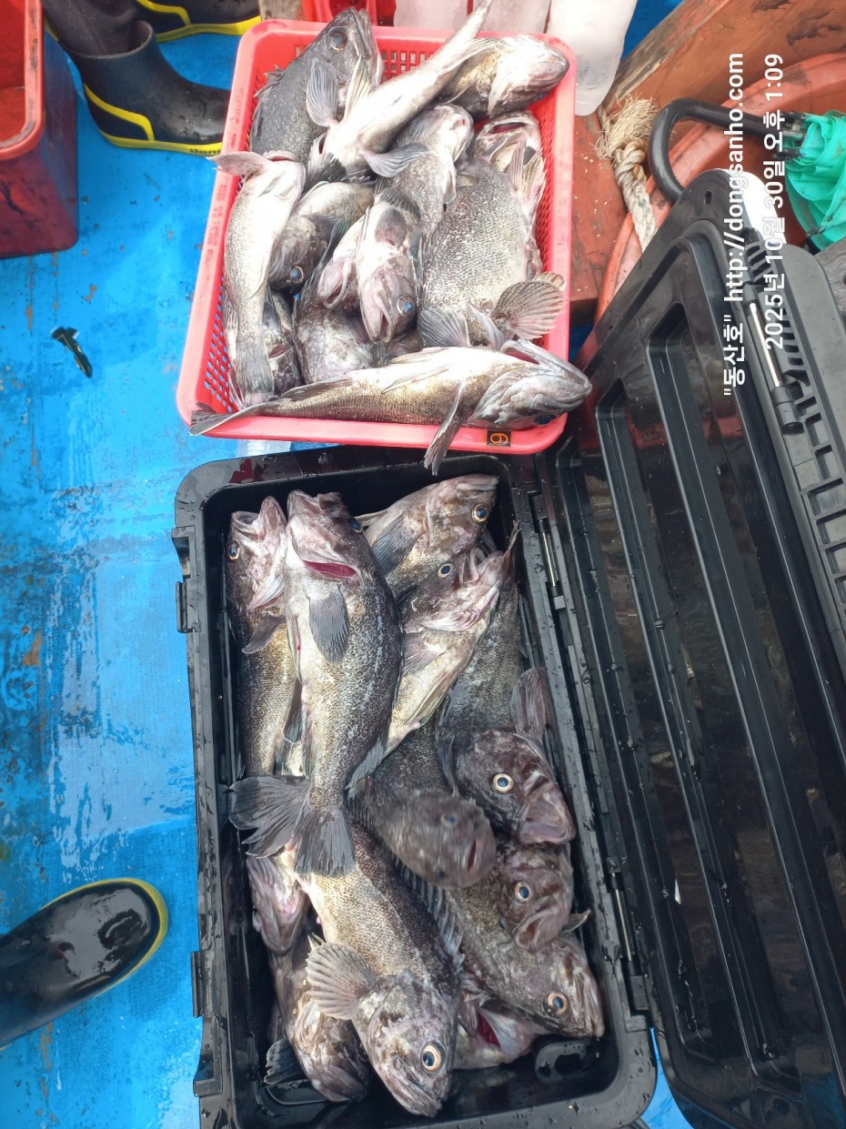 857128367e0136763c15d97be9d2e54e_1761840