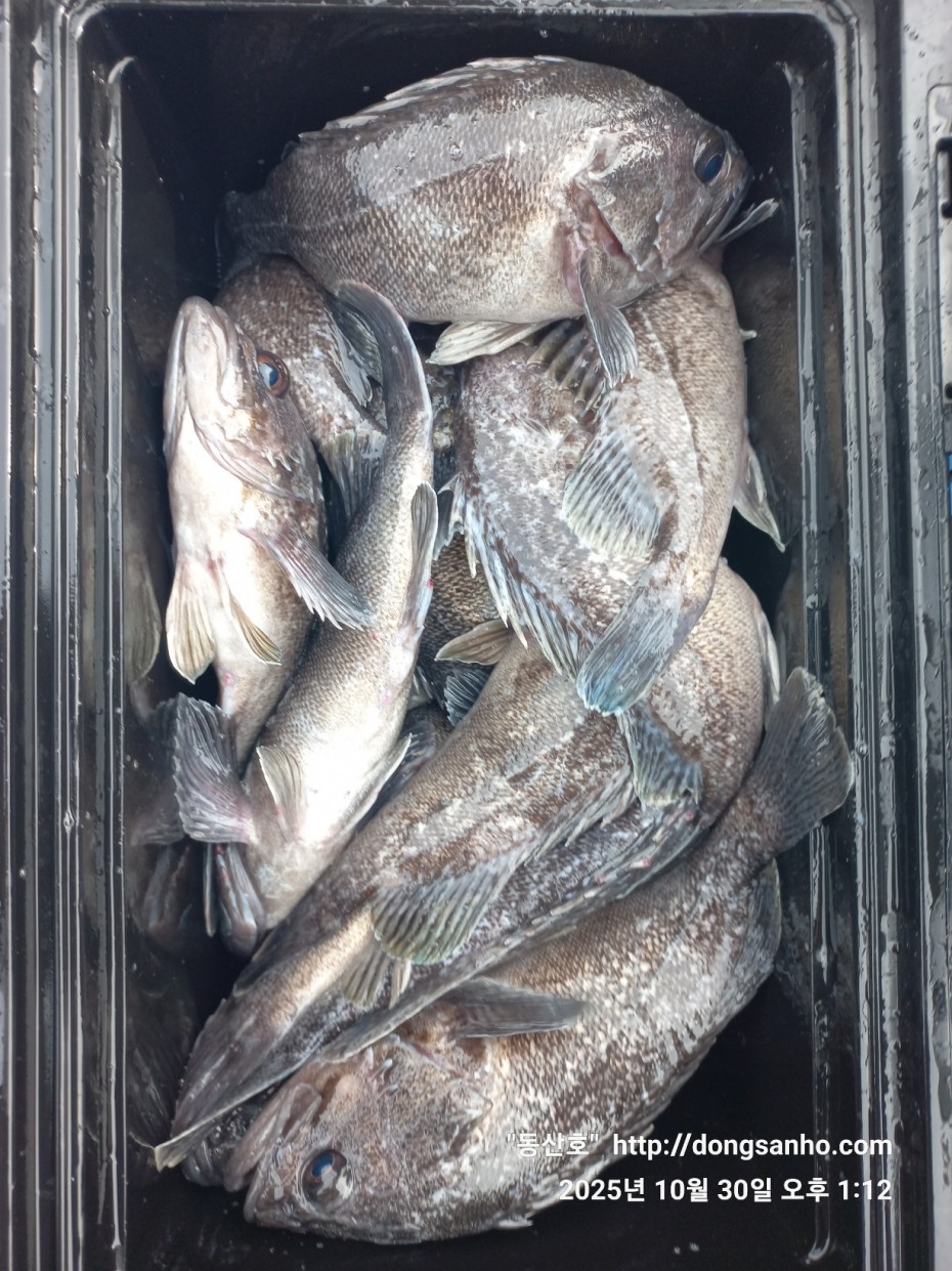 857128367e0136763c15d97be9d2e54e_1761840