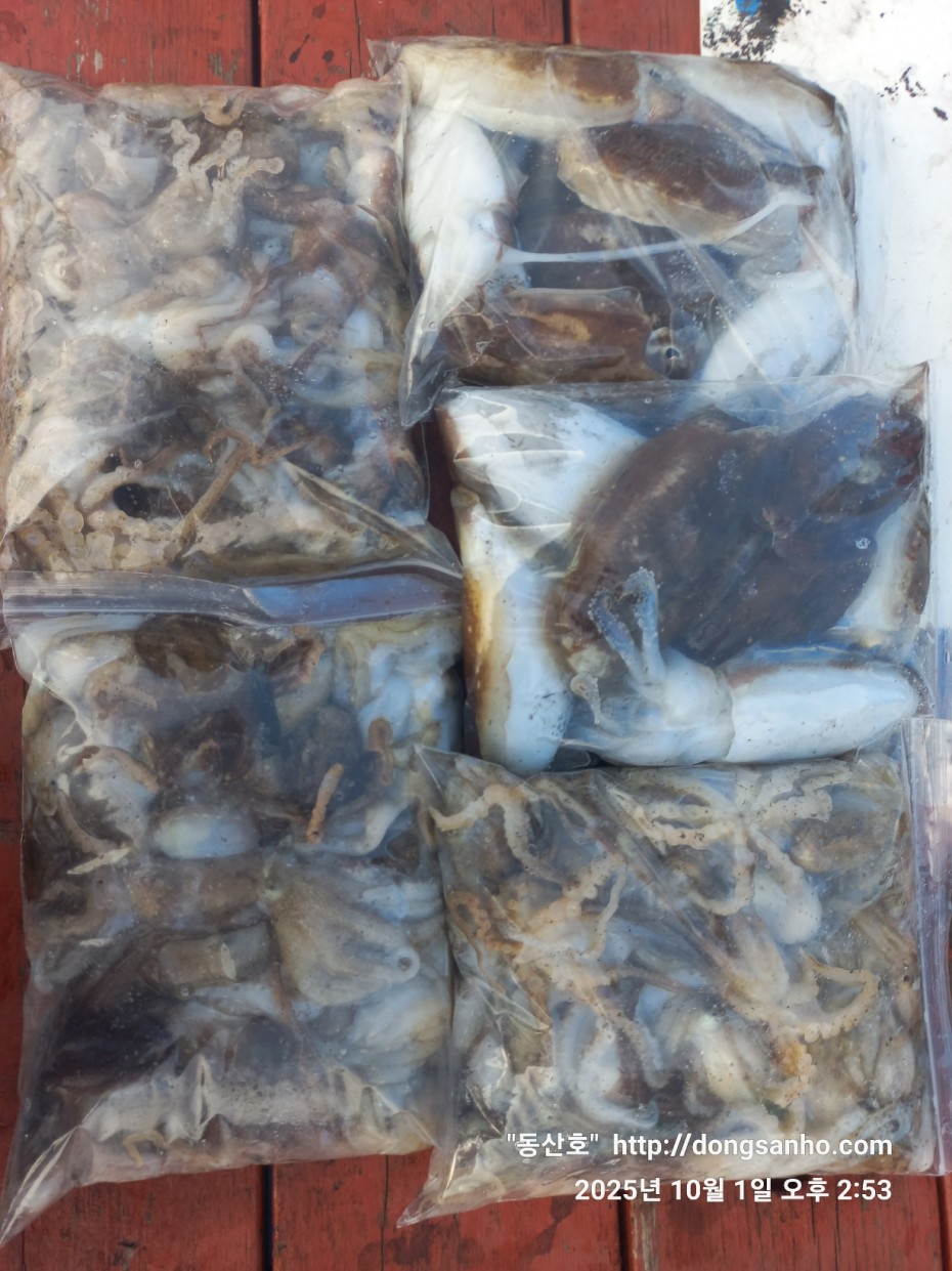 965c4c324fa1c0bdb8edaab2b3ef7f31_1759335