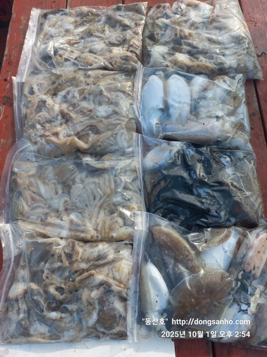 965c4c324fa1c0bdb8edaab2b3ef7f31_1759335