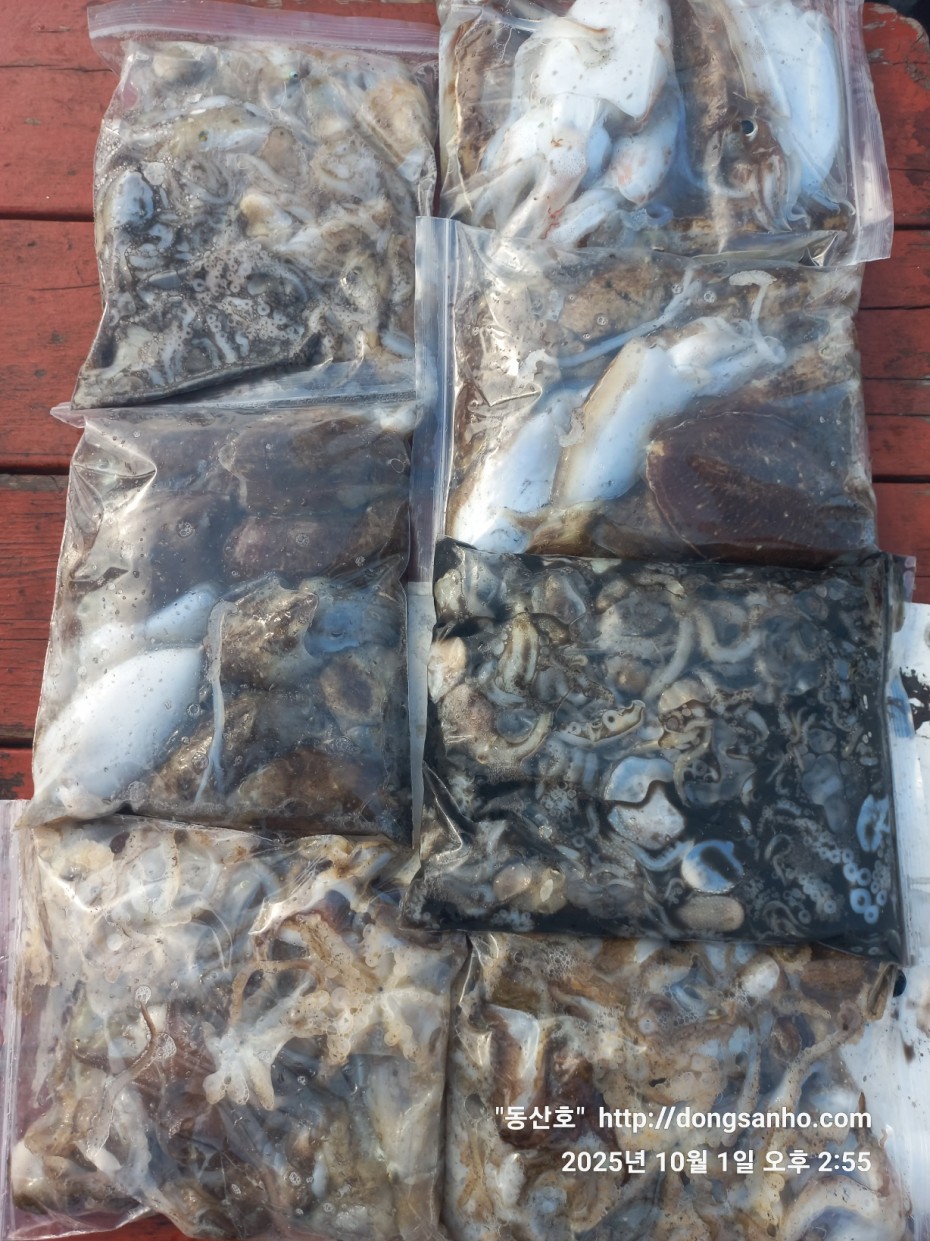 965c4c324fa1c0bdb8edaab2b3ef7f31_1759335