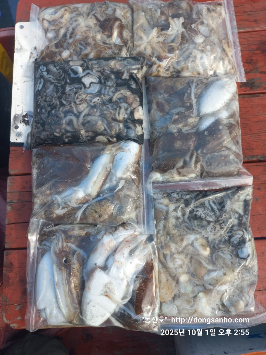 965c4c324fa1c0bdb8edaab2b3ef7f31_1759335