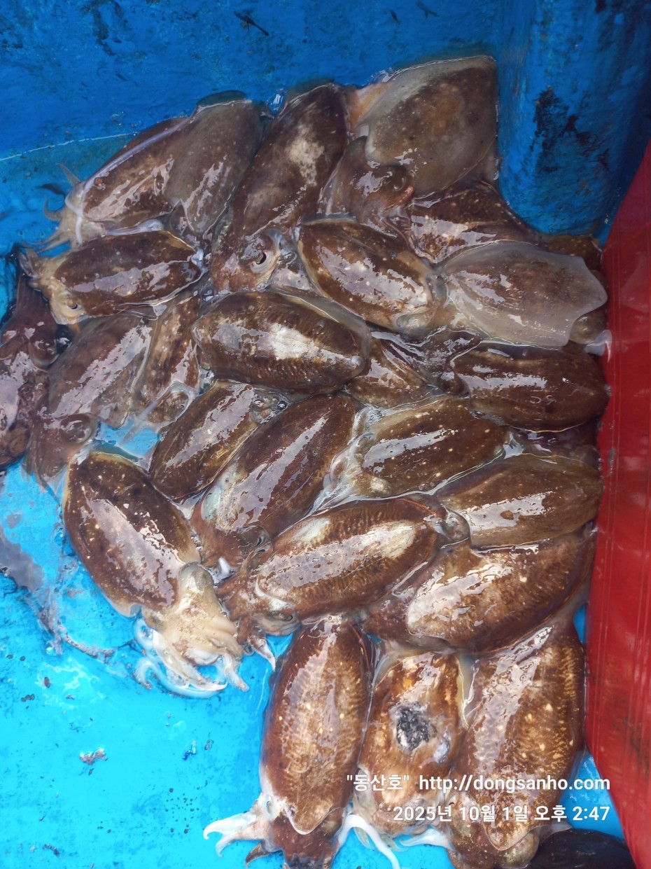 965c4c324fa1c0bdb8edaab2b3ef7f31_1759335