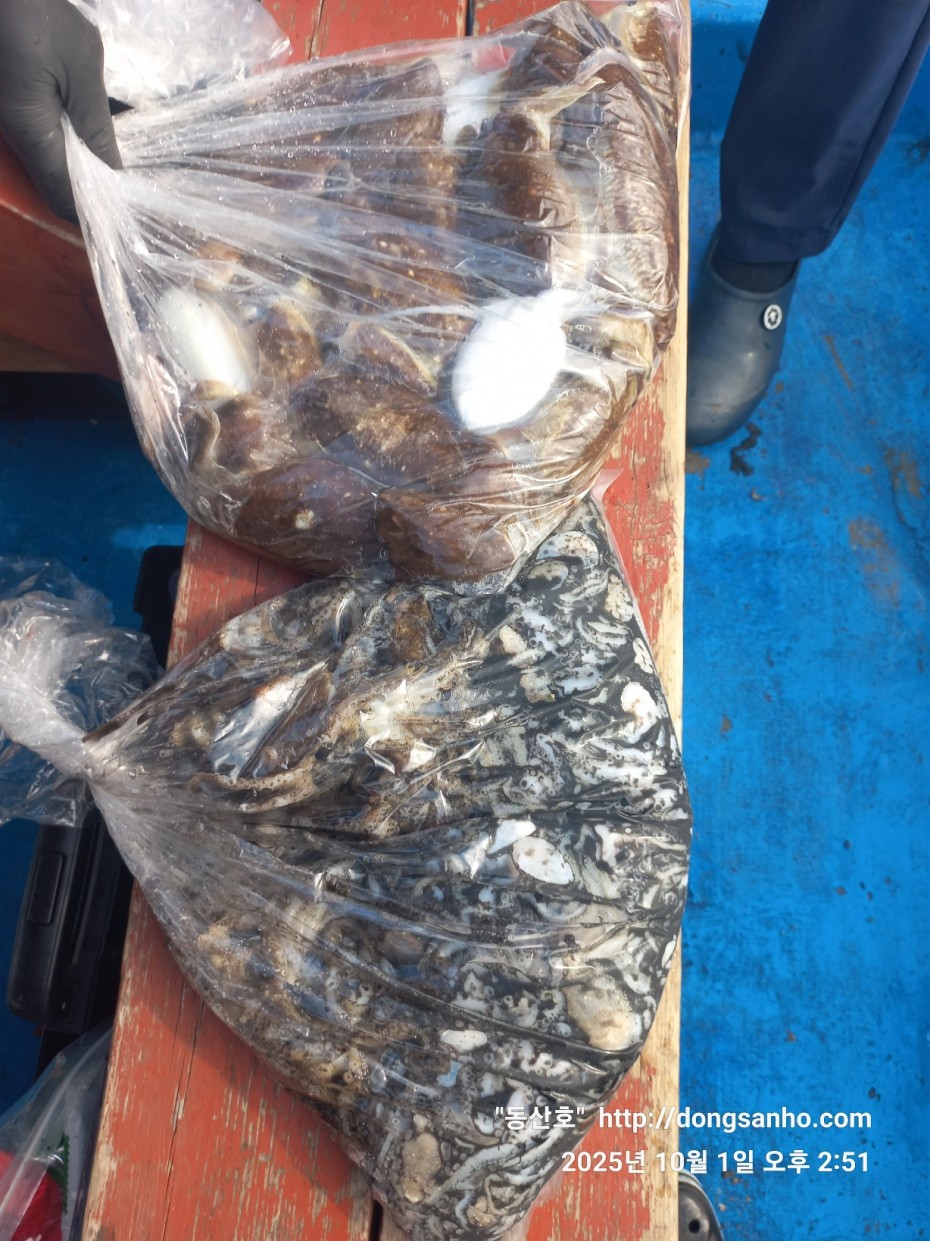 965c4c324fa1c0bdb8edaab2b3ef7f31_1759335