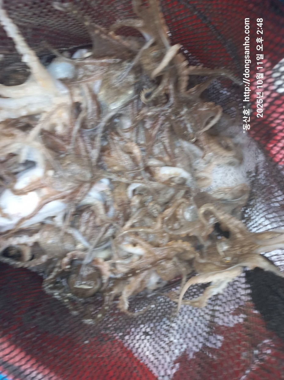 c846d016bd9bf86197a0a7e1e2adeabb_1760450