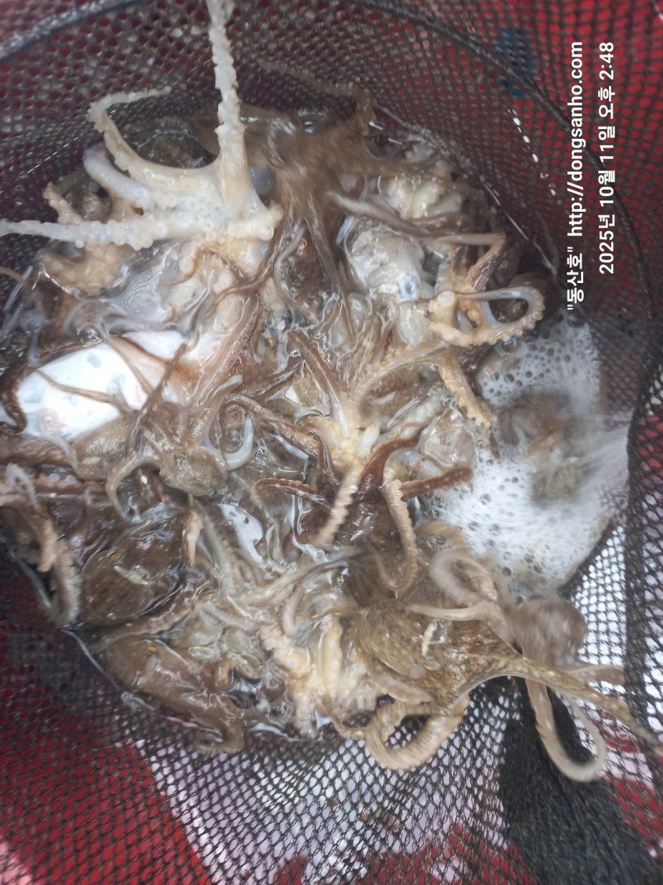 c846d016bd9bf86197a0a7e1e2adeabb_1760450