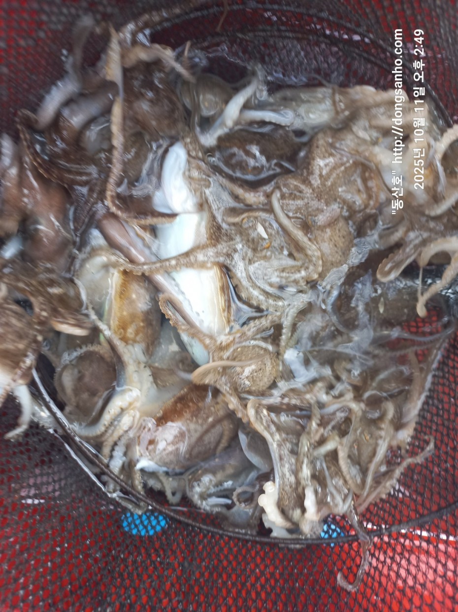 c846d016bd9bf86197a0a7e1e2adeabb_1760450