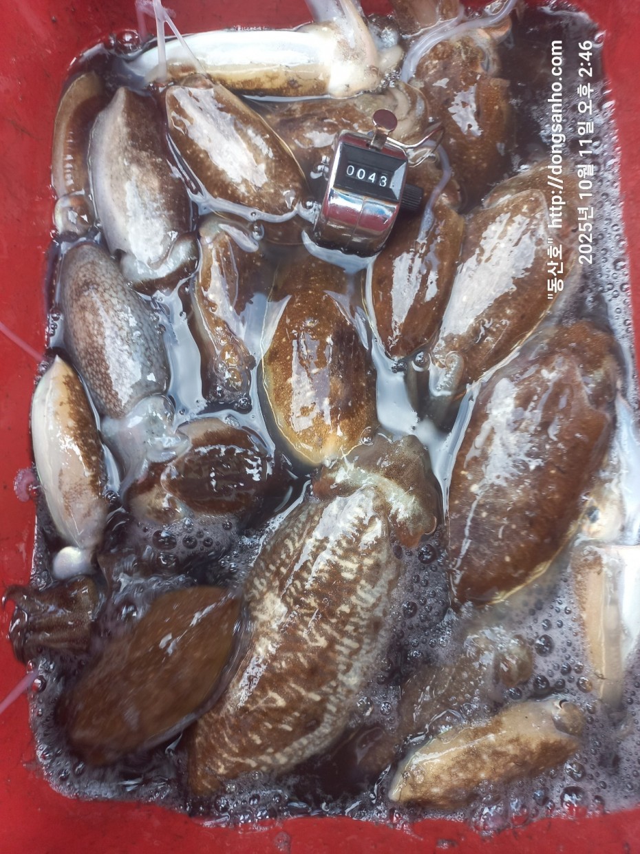 c846d016bd9bf86197a0a7e1e2adeabb_1760450