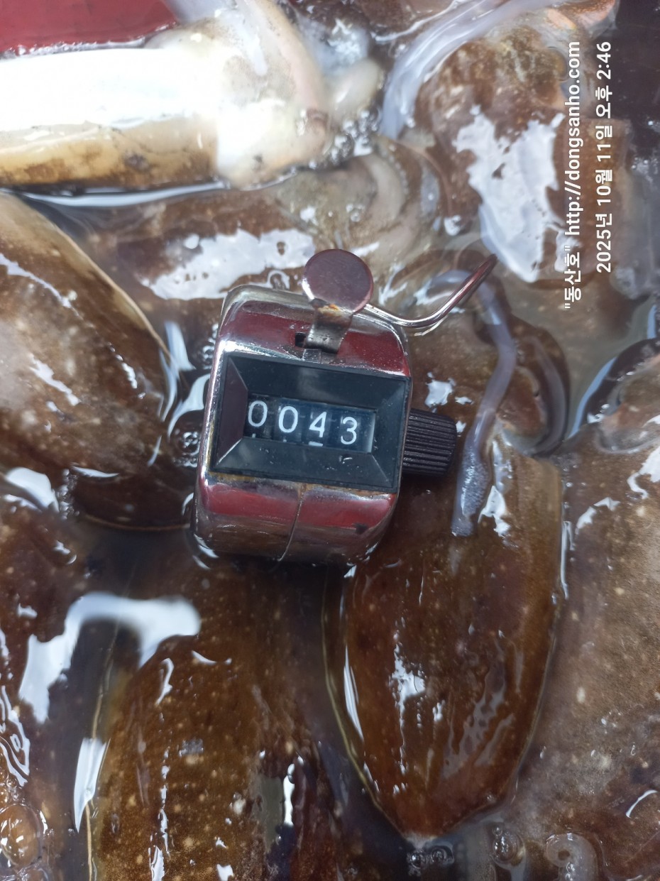 c846d016bd9bf86197a0a7e1e2adeabb_1760450