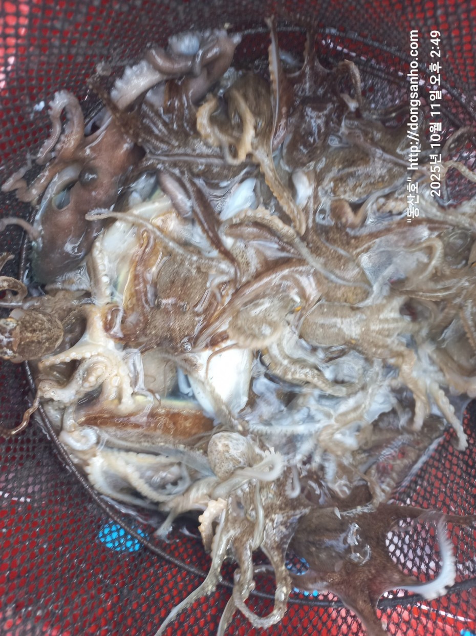 c846d016bd9bf86197a0a7e1e2adeabb_1760450