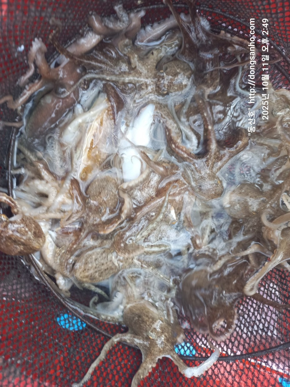 c846d016bd9bf86197a0a7e1e2adeabb_1760450