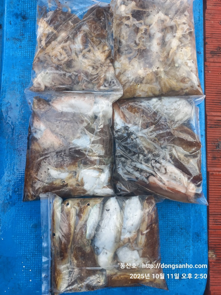 c846d016bd9bf86197a0a7e1e2adeabb_1760450