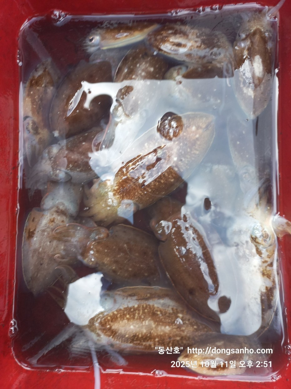 c846d016bd9bf86197a0a7e1e2adeabb_1760450