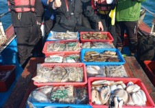 10/16 갑오징어…