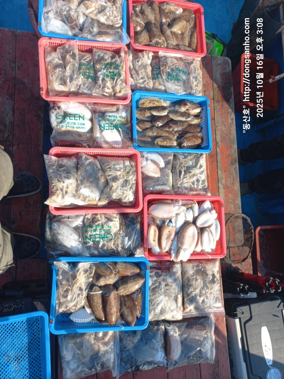 c8cc4ebd64e3b80ecf4c7b980829937f_1760711