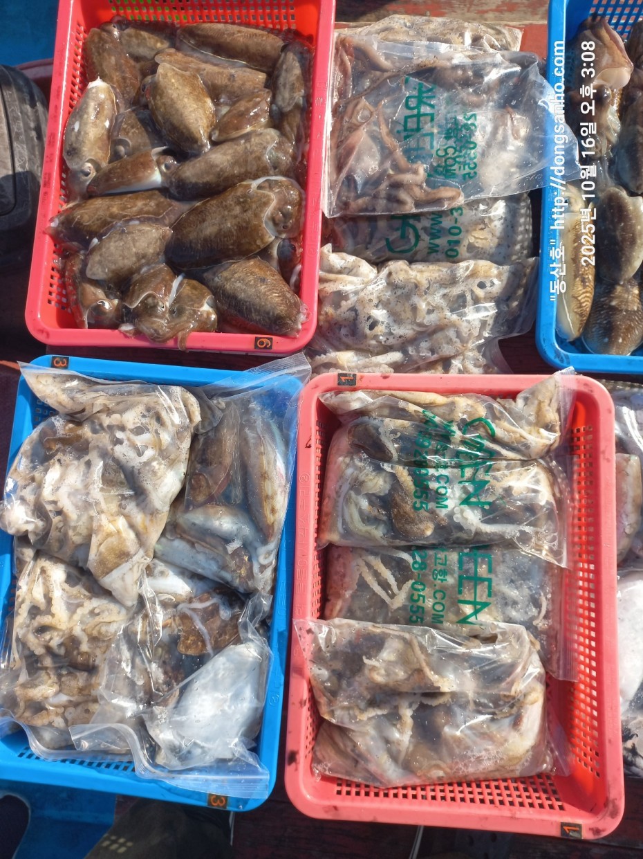 c8cc4ebd64e3b80ecf4c7b980829937f_1760711