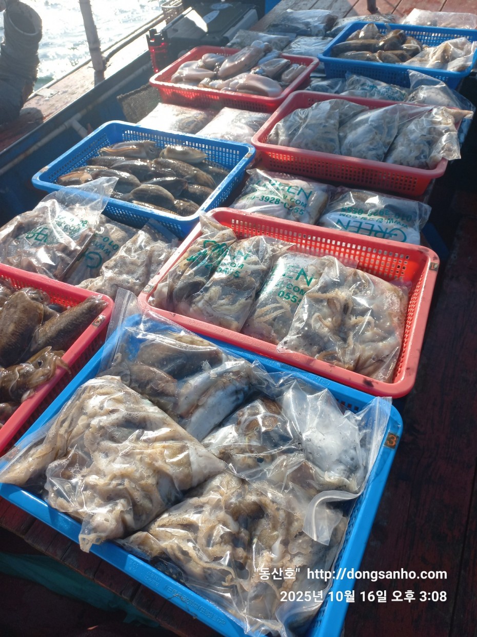 c8cc4ebd64e3b80ecf4c7b980829937f_1760711