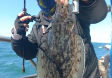 10/16 갑오징어…