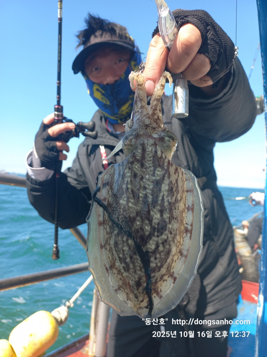 c8cc4ebd64e3b80ecf4c7b980829937f_1760712