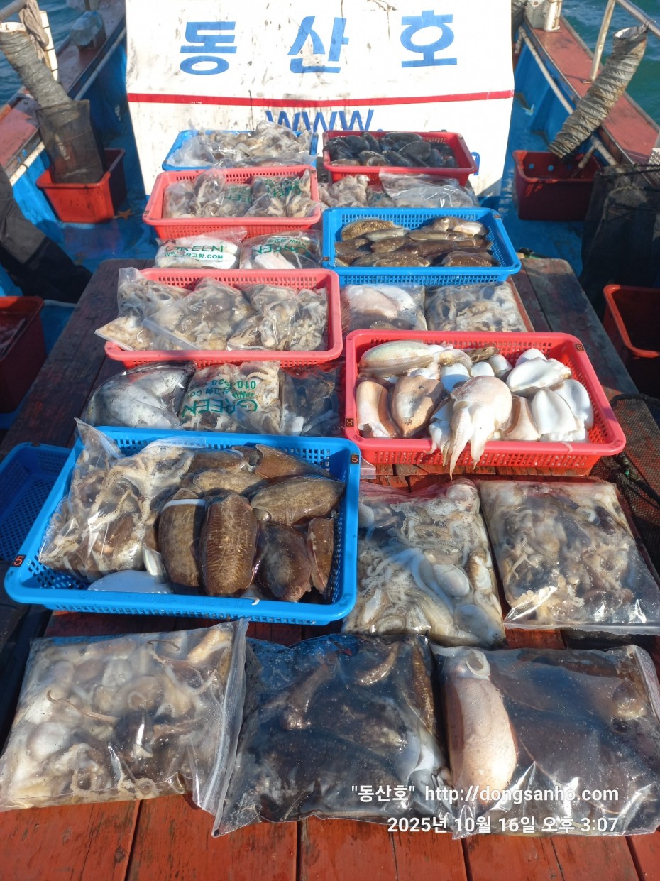 c8cc4ebd64e3b80ecf4c7b980829937f_1760712