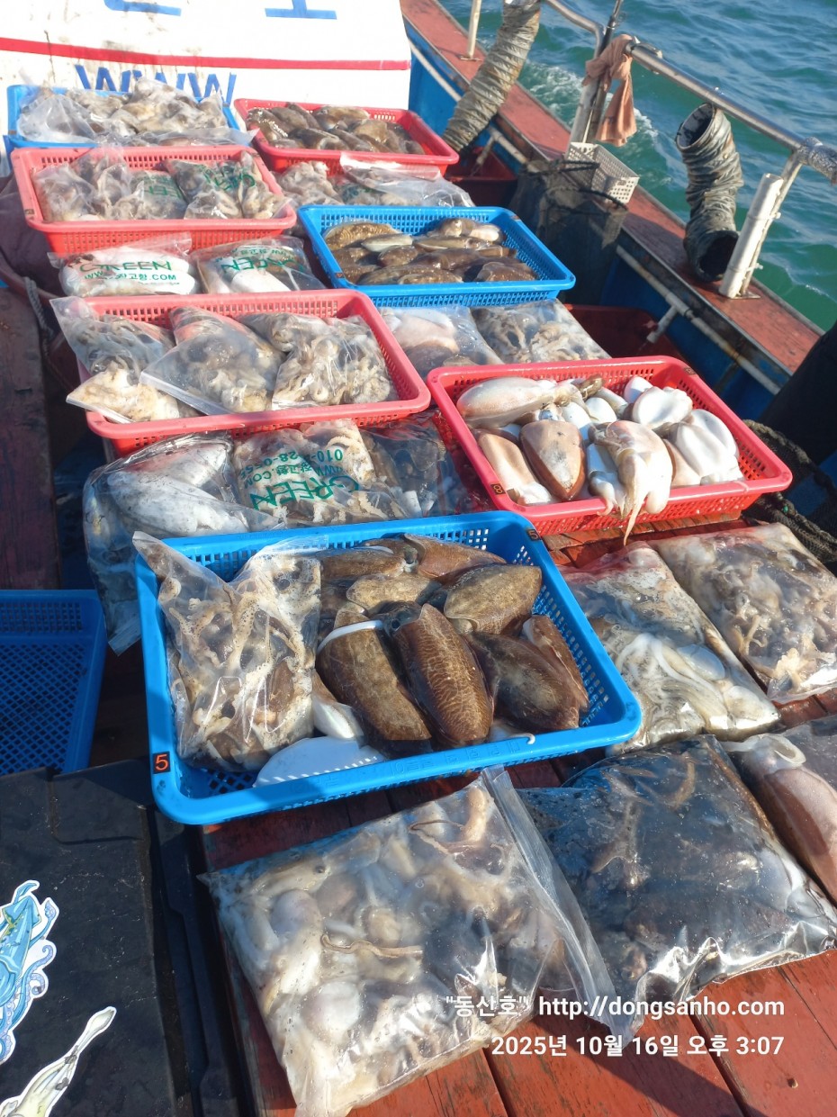 c8cc4ebd64e3b80ecf4c7b980829937f_1760712