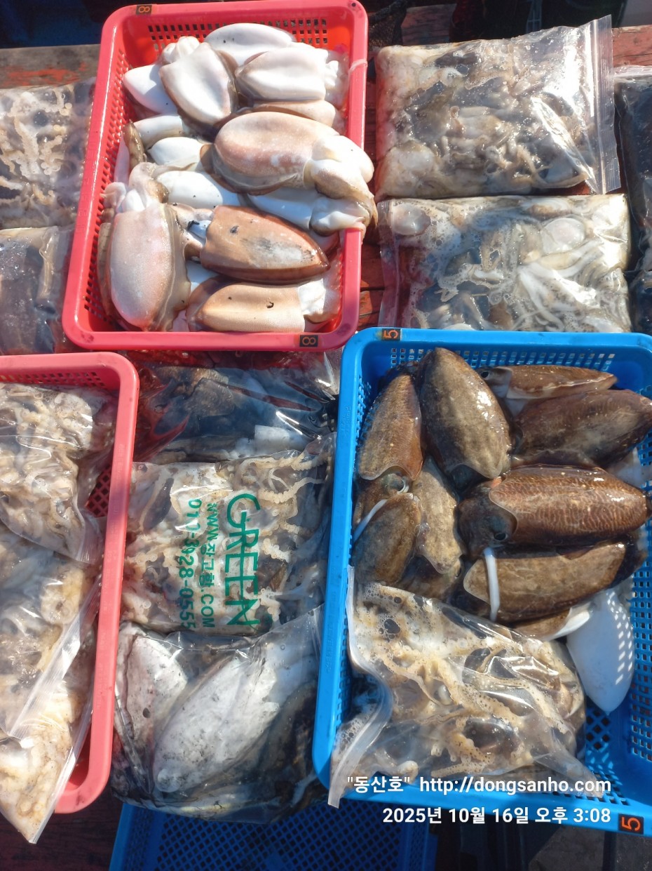 c8cc4ebd64e3b80ecf4c7b980829937f_1760712