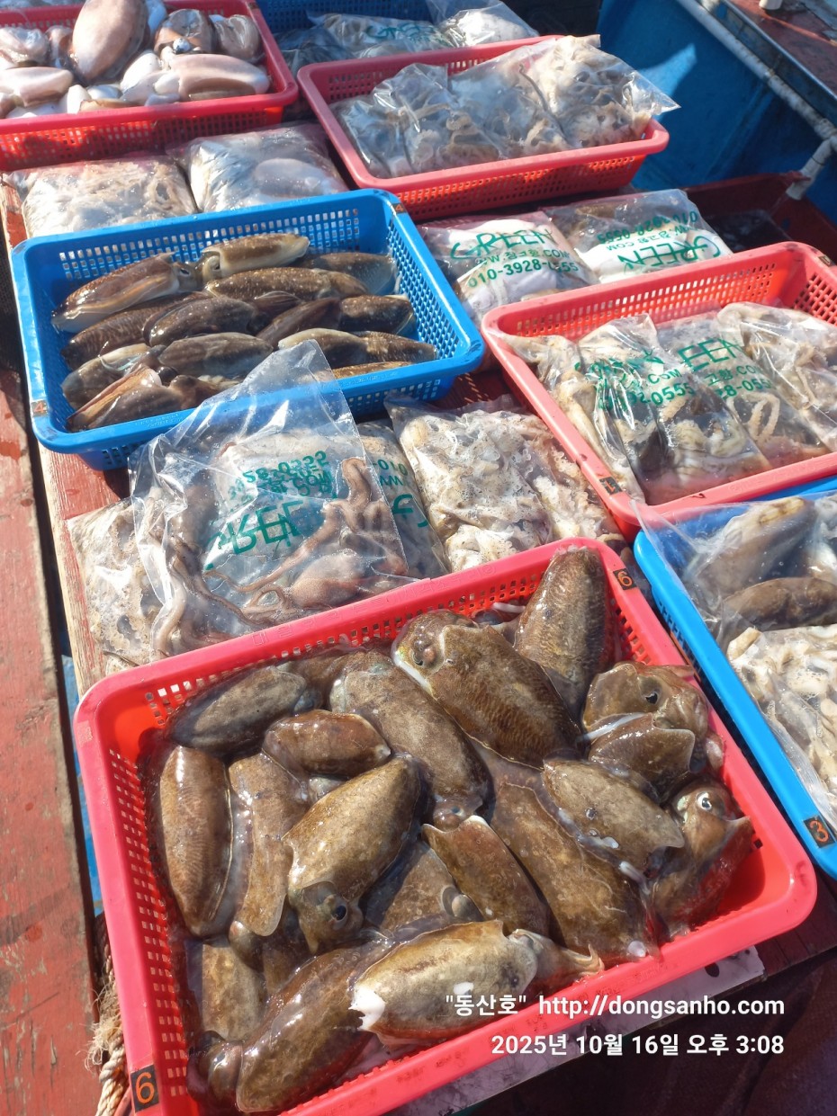 c8cc4ebd64e3b80ecf4c7b980829937f_1760712