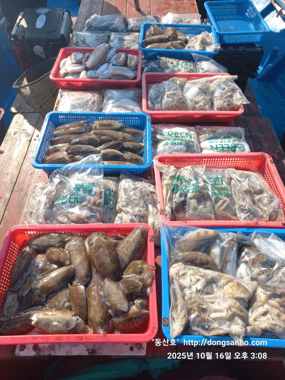 c8cc4ebd64e3b80ecf4c7b980829937f_1760712