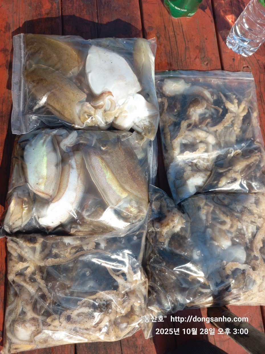 cf880e5a01ebf1a48708f4560d101d4c_1761661