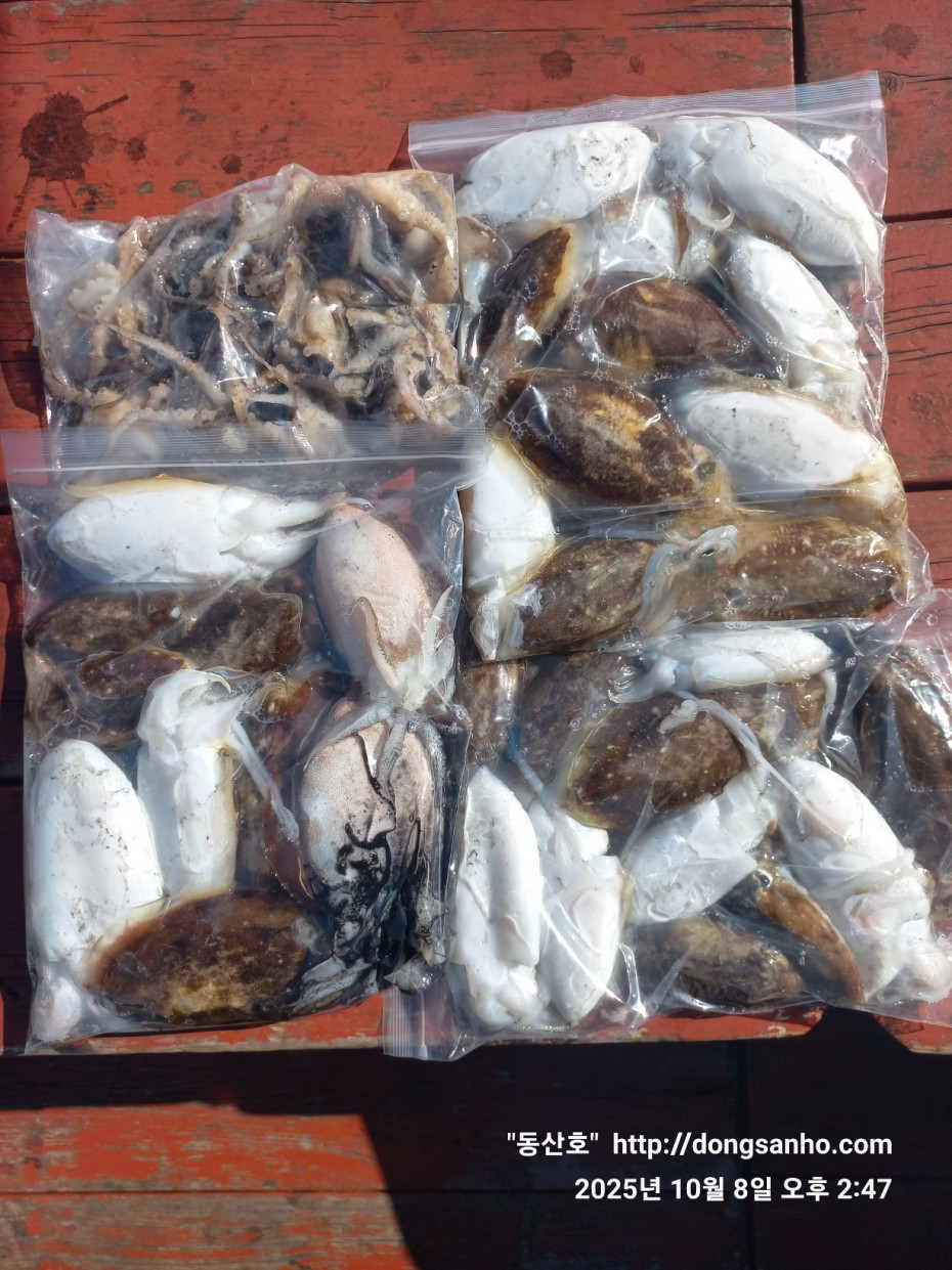 d1123fa435e8bff6ca9482b4549afa6f_1760035