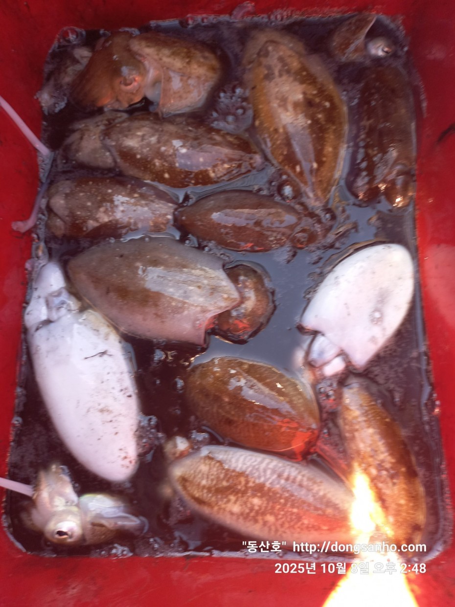 d1123fa435e8bff6ca9482b4549afa6f_1760035