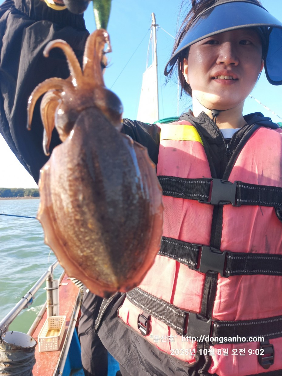 d1123fa435e8bff6ca9482b4549afa6f_1760035