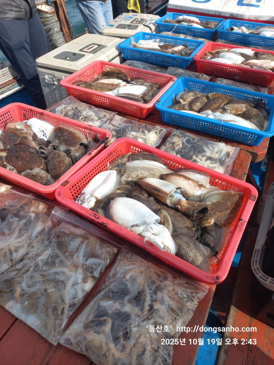 e37850fde0ae6fbd779ea06b6e0b43c2_1760943