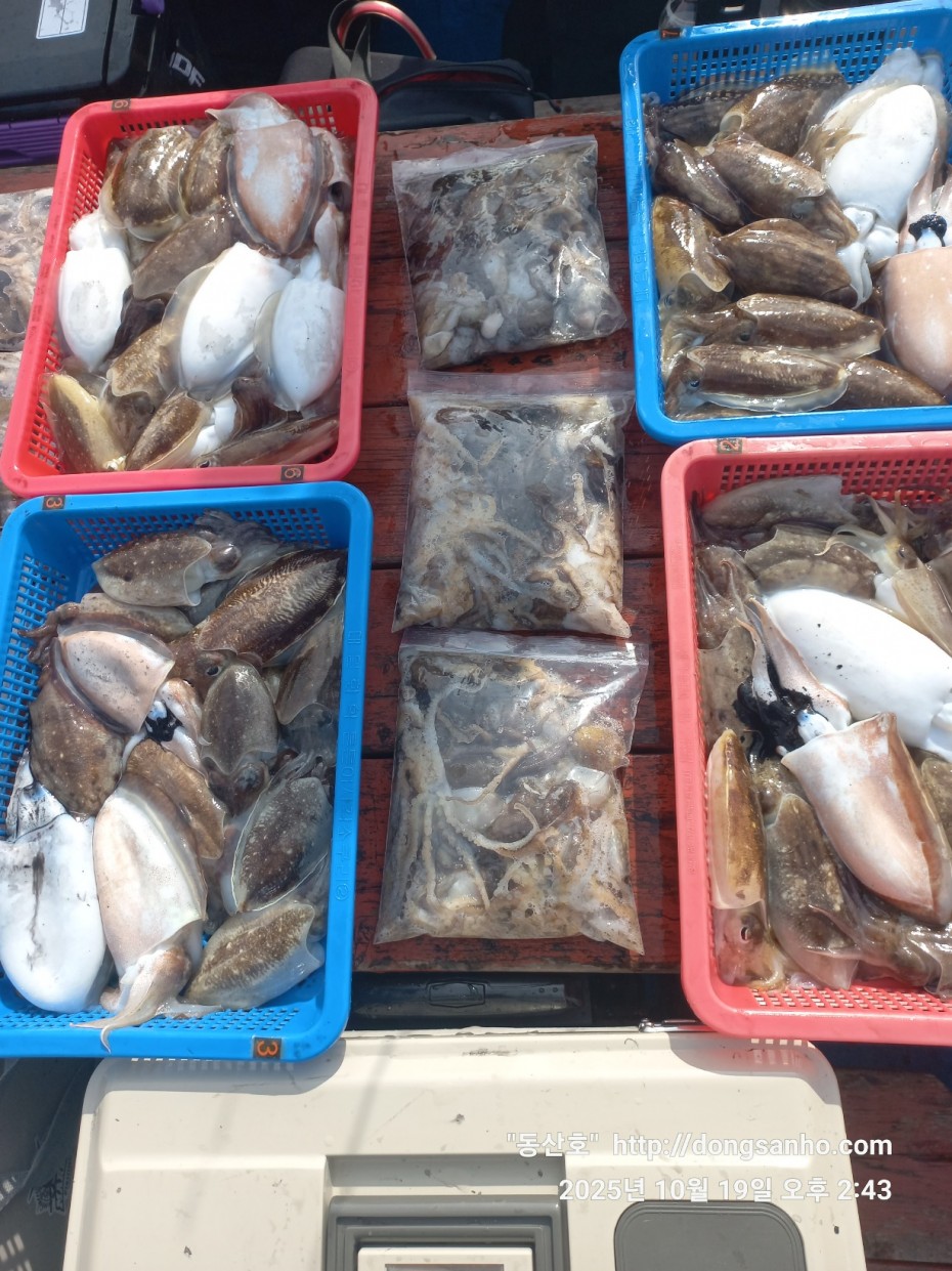 e37850fde0ae6fbd779ea06b6e0b43c2_1760943