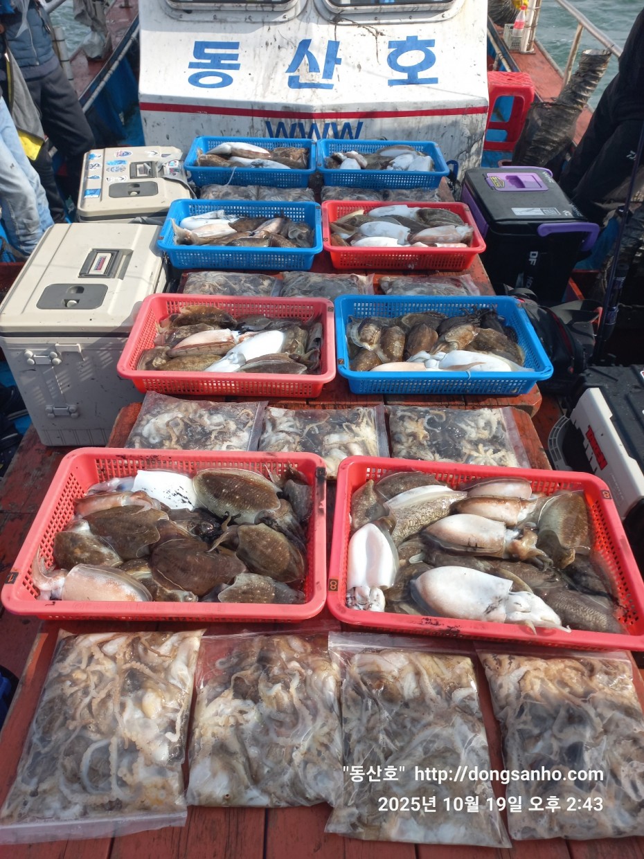 e37850fde0ae6fbd779ea06b6e0b43c2_1760944