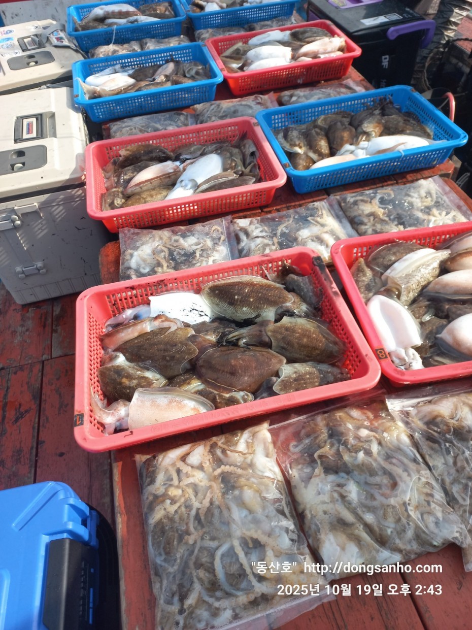 e37850fde0ae6fbd779ea06b6e0b43c2_1760944